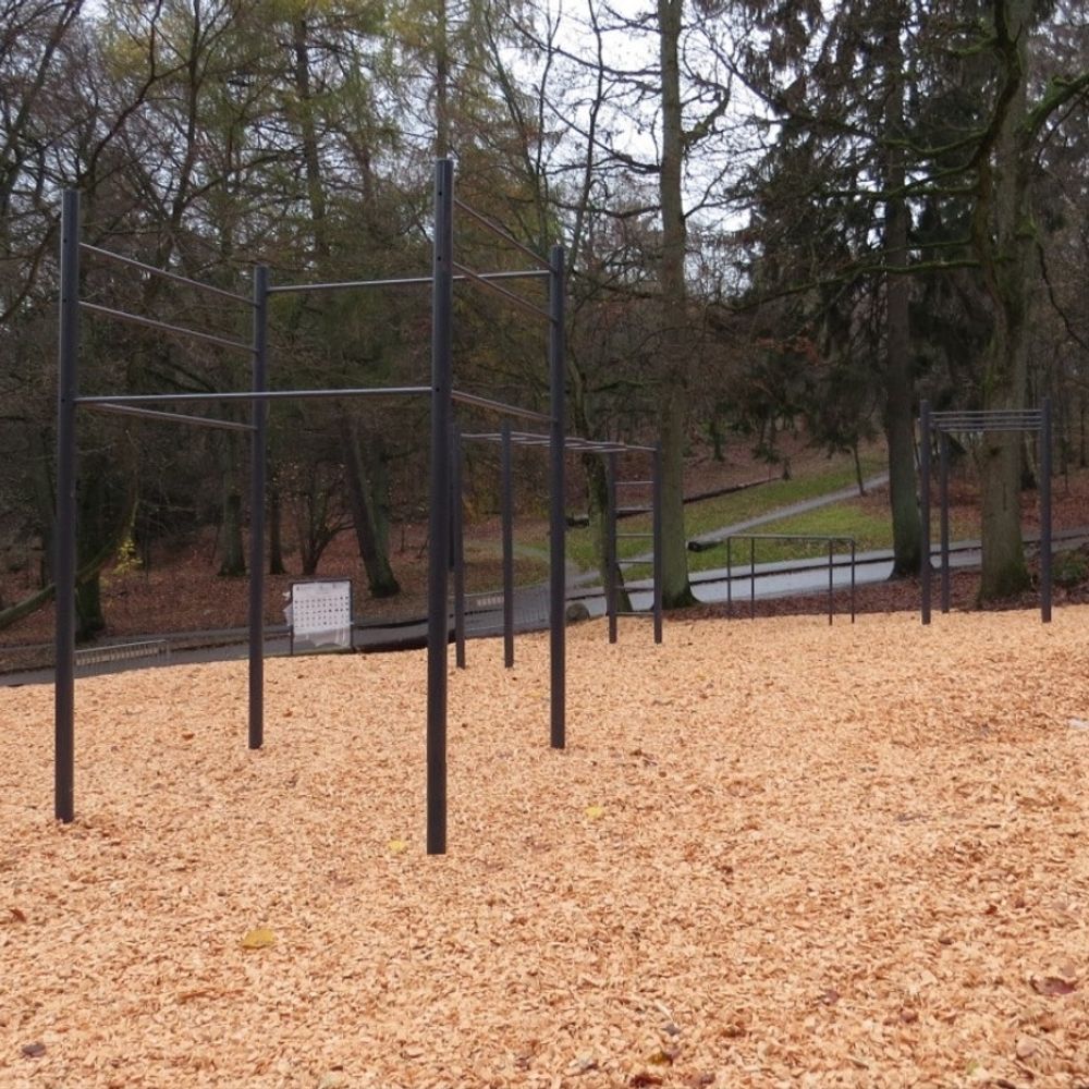 Approved calisthenics park in Göteborg, Sweden